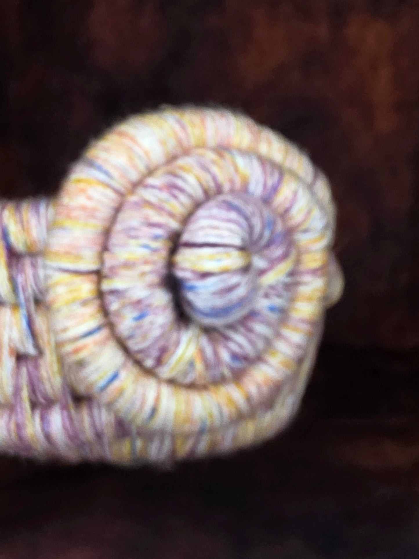 Cindercoil Vessel - Handmade Coil Wrapped Basket