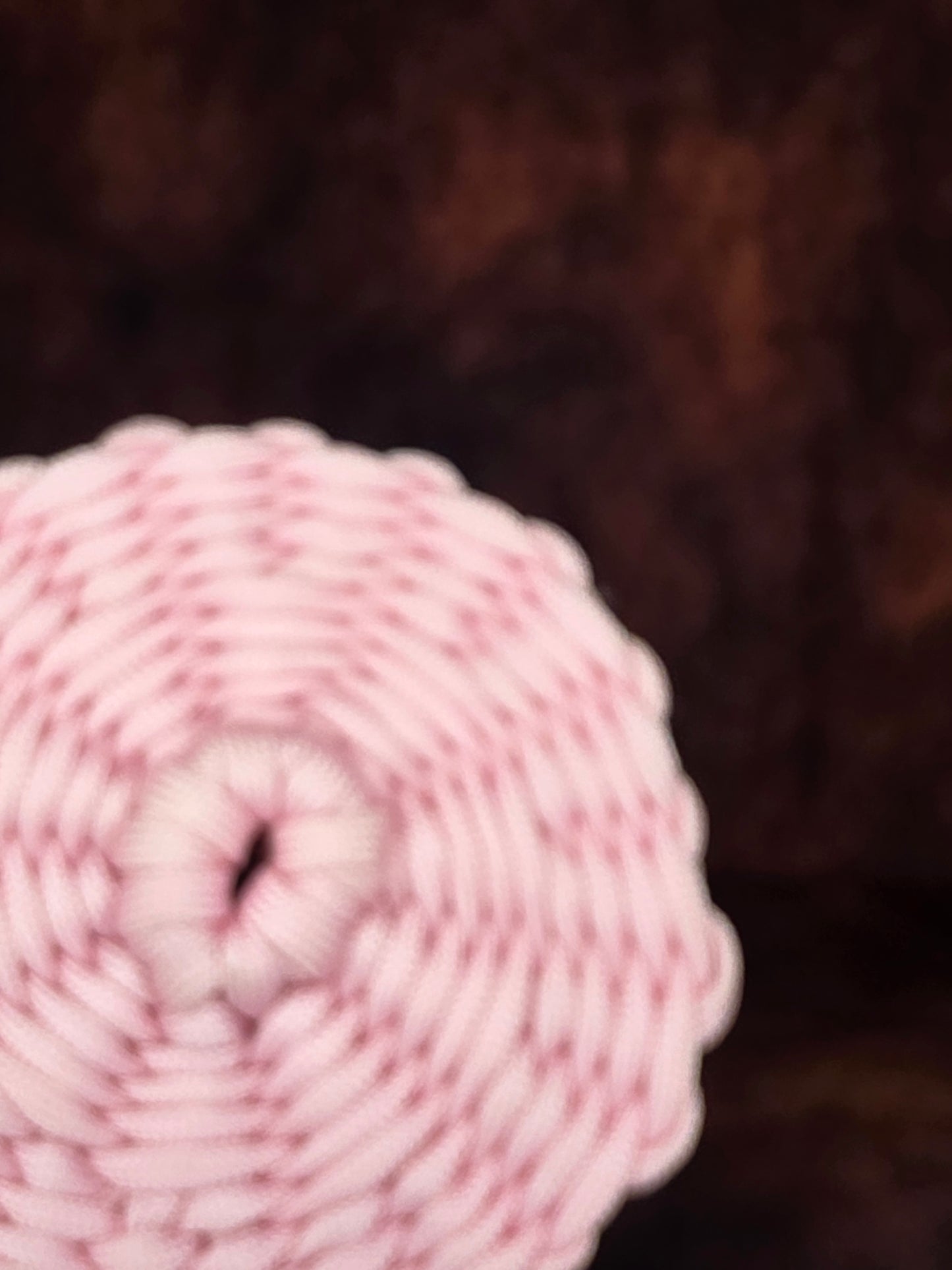 Blushcoil Ward - Handmade Paracord Coasters